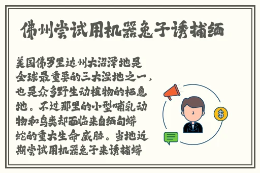 两个人免费视频